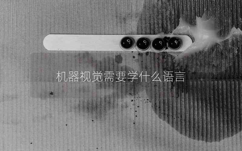 機(jī)器視覺需要學(xué)什么語言