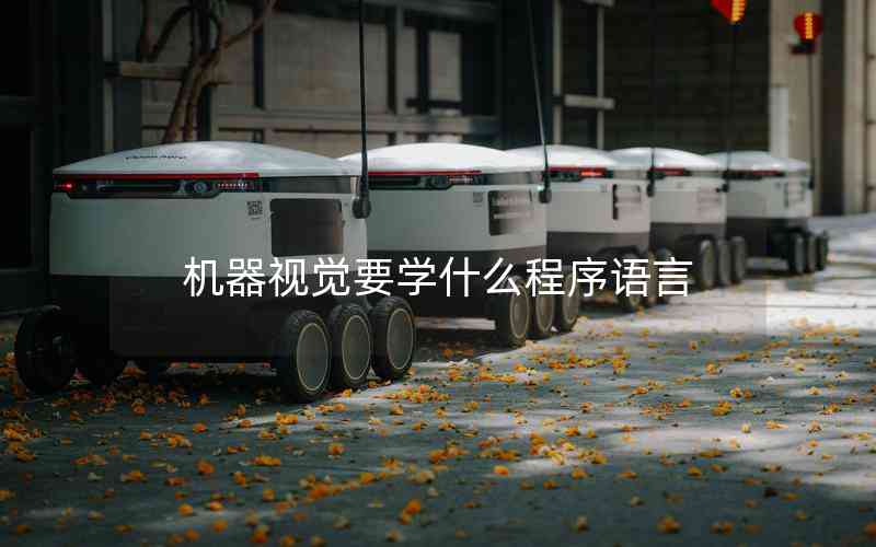 機(jī)器視覺(jué)要學(xué)什么程序語(yǔ)言
