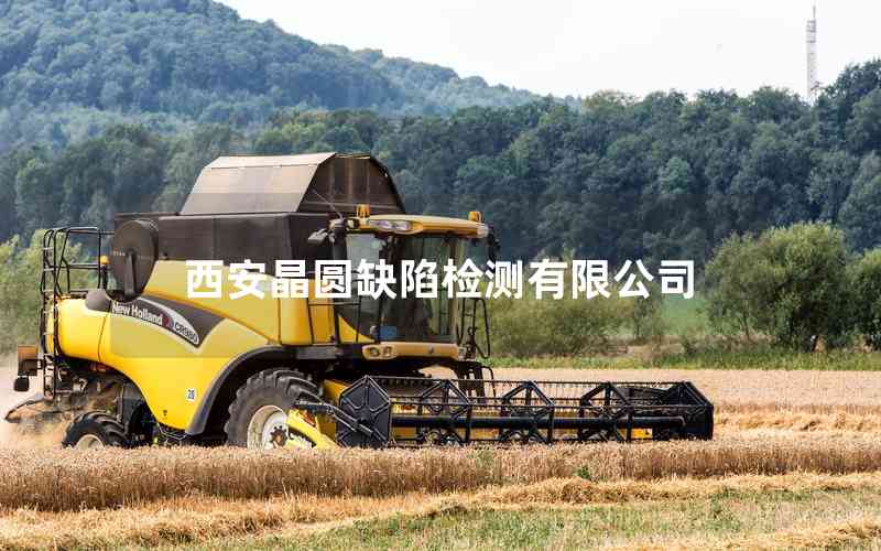 西安晶圓缺陷檢測有限公司