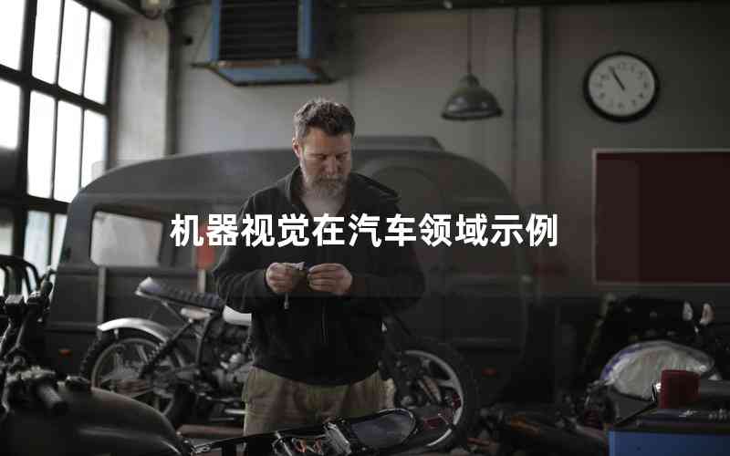 機器視覺在汽車領域示例