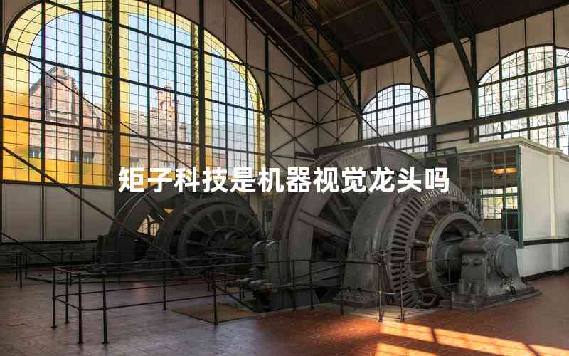 矩子科技是機(jī)器視覺龍頭嗎