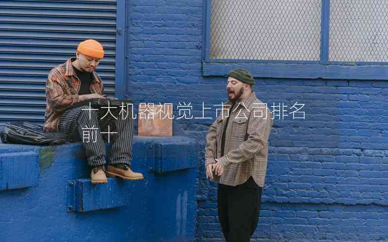 十大機器視覺上市公司排名前十