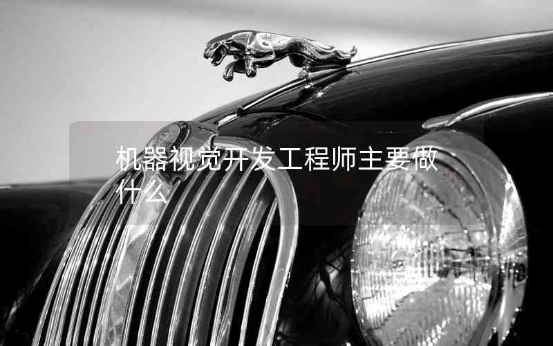 機器視覺開發(fā)工程師主要做什么