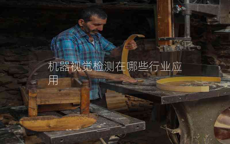 機器視覺檢測在哪些行業(yè)應用