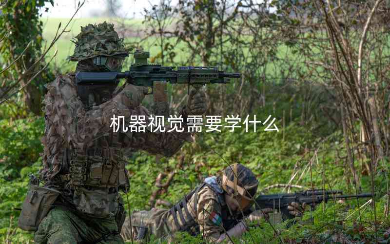 機器視覺需要學什么