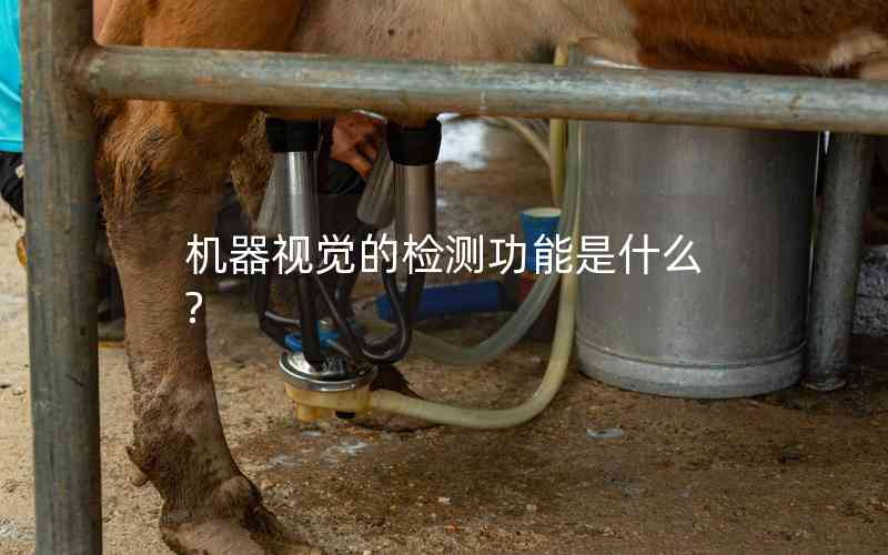機(jī)器視覺的檢測(cè)功能是什么?