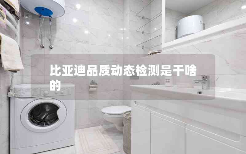 比亞迪品質(zhì)動(dòng)態(tài)檢測(cè)是干啥的