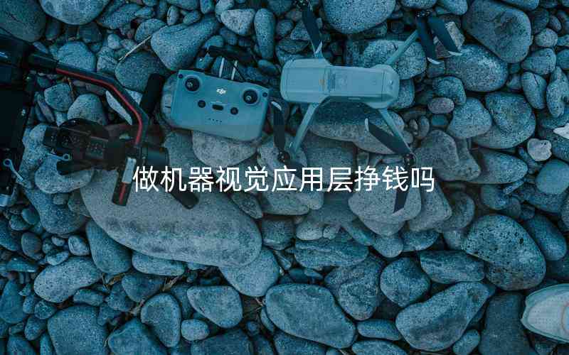 做機(jī)器視覺(jué)應(yīng)用層掙錢(qián)嗎