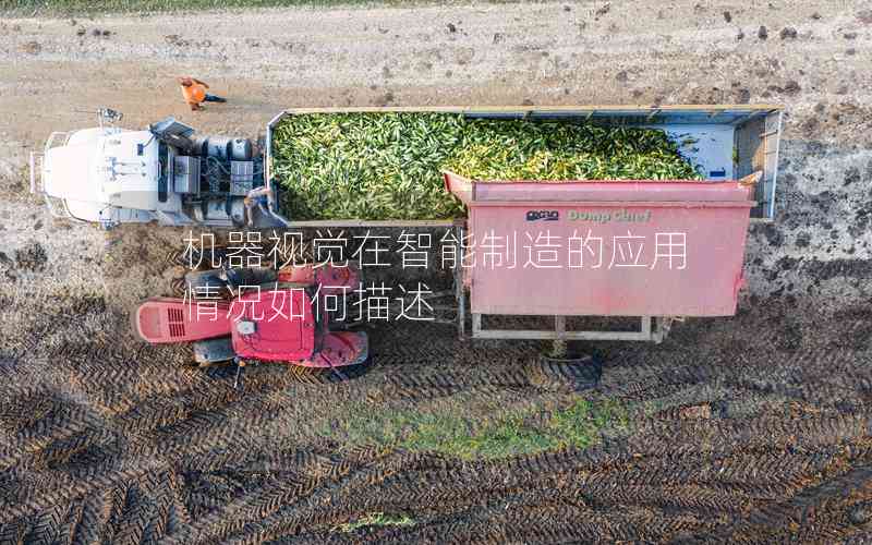機(jī)器視覺(jué)在智能制造的應(yīng)用情況如何描述
