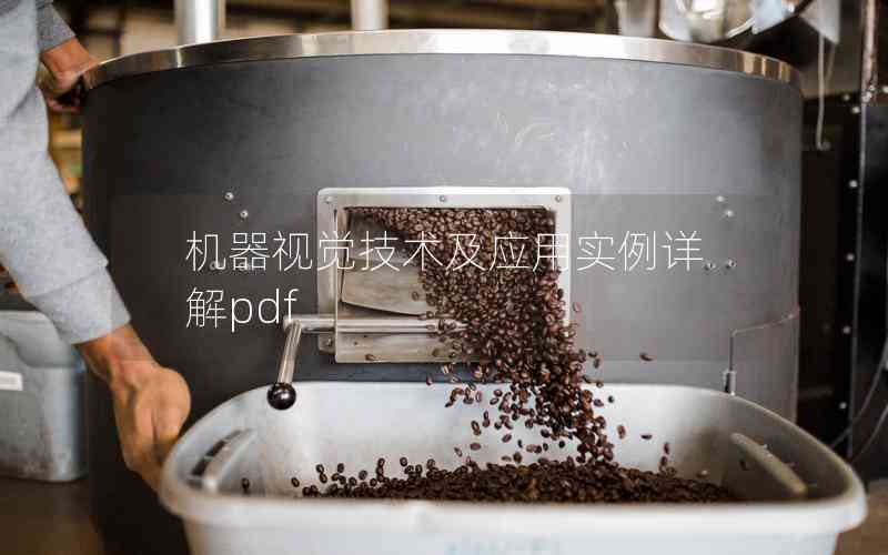 機(jī)器視覺技術(shù)及應(yīng)用實(shí)例詳解pdf