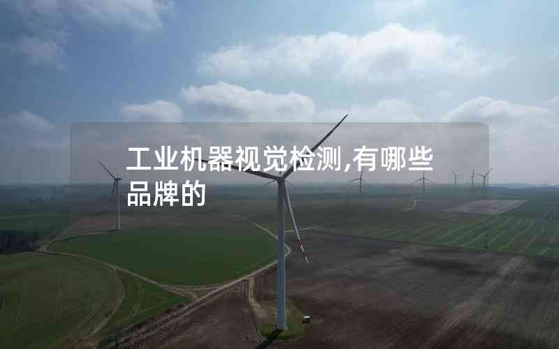工業(yè)機(jī)器視覺檢測,有哪些品牌的