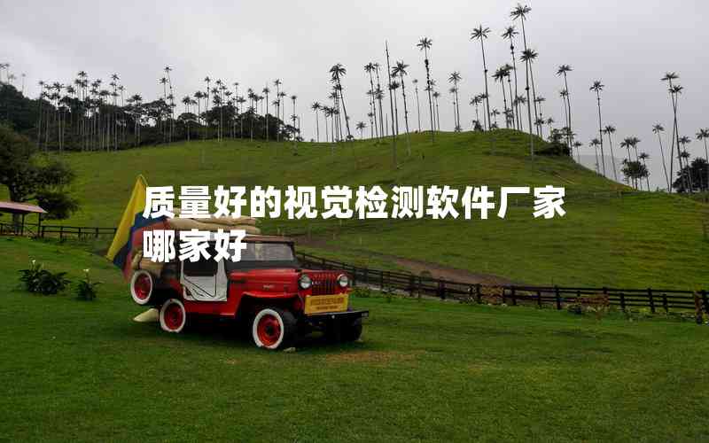 質(zhì)量好的視覺(jué)檢測(cè)軟件廠家哪家好