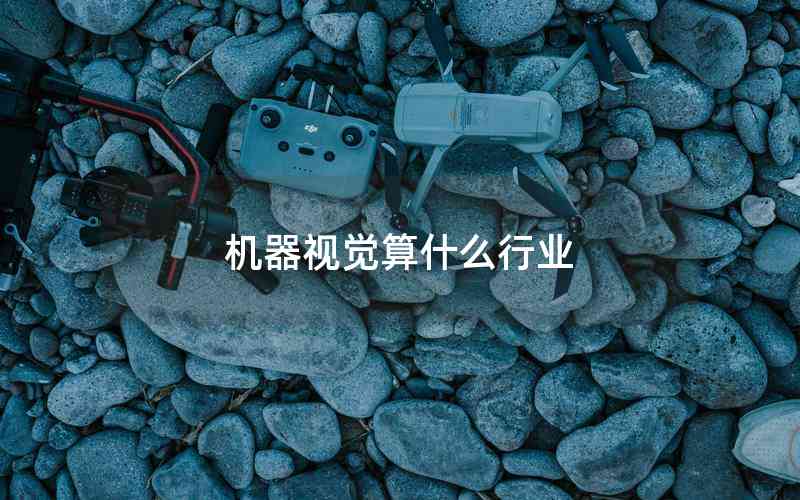 機(jī)器視覺算什么行業(yè)