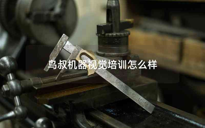 鳥叔機器視覺培訓怎么樣