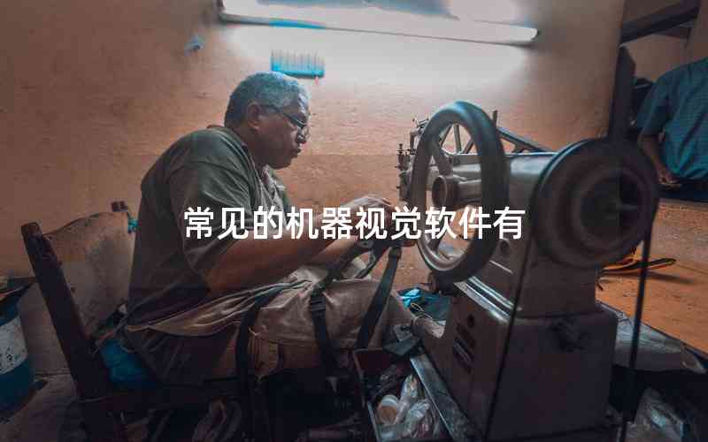 常見的機(jī)器視覺軟件有