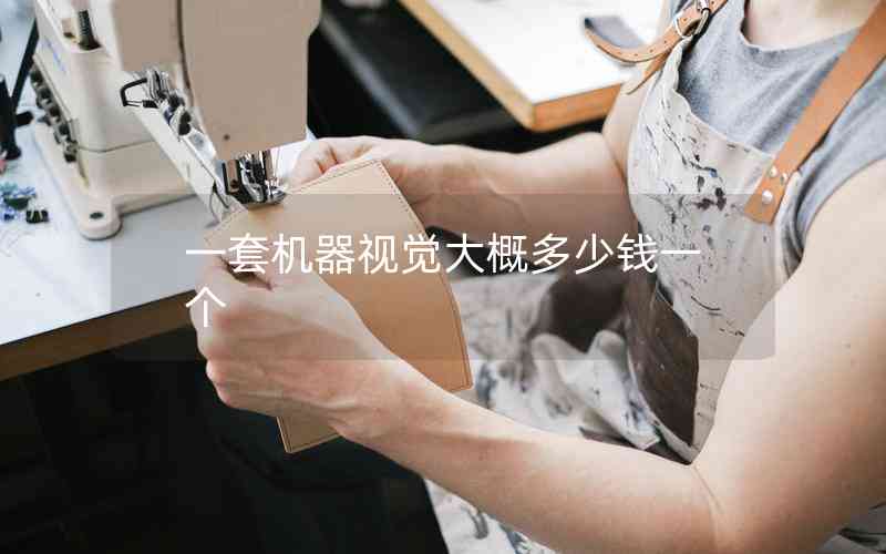 一套機(jī)器視覺大概多少錢一個