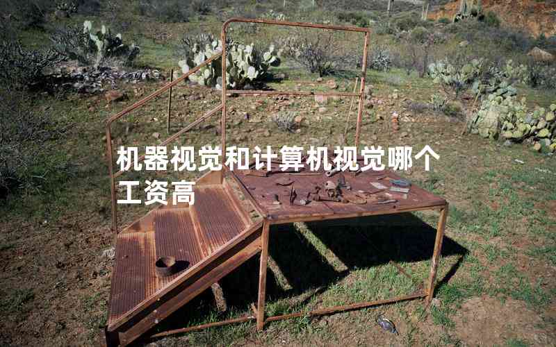 機(jī)器視覺和計(jì)算機(jī)視覺哪個工資高