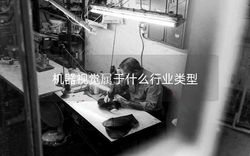 機(jī)器視覺屬于什么行業(yè)類型