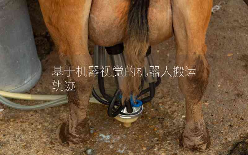 基于機(jī)器視覺的機(jī)器人搬運(yùn)軌跡