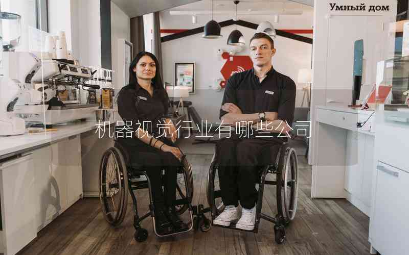 機(jī)器視覺(jué)行業(yè)有哪些公司