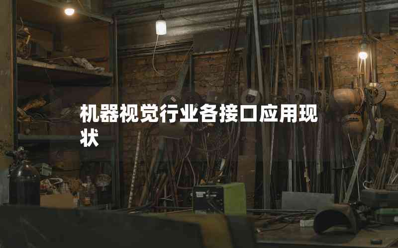 機器視覺行業(yè)各接口應(yīng)用現(xiàn)狀