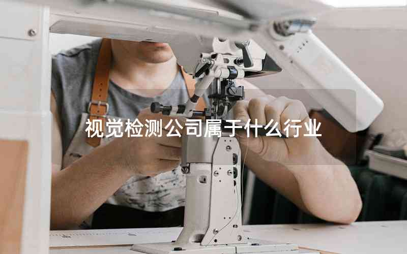 視覺檢測(cè)公司屬于什么行業(yè)