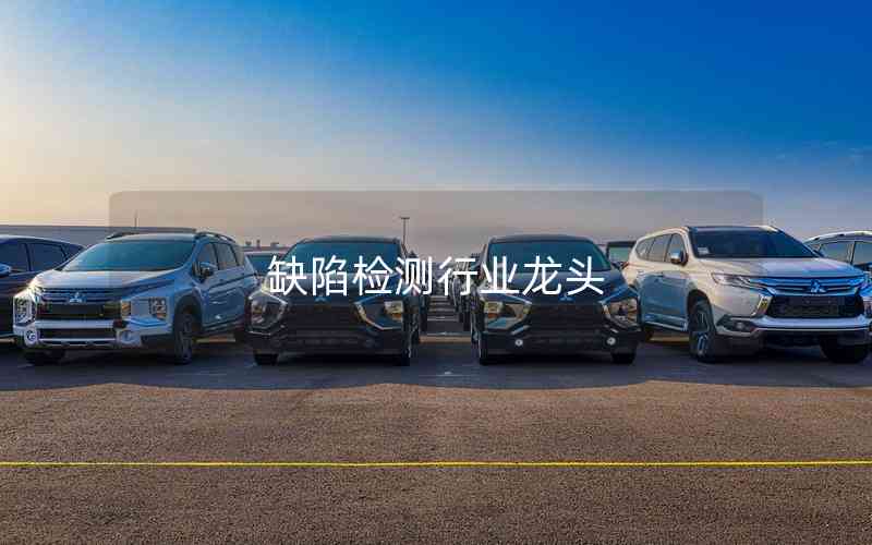 缺陷檢測行業(yè)龍頭