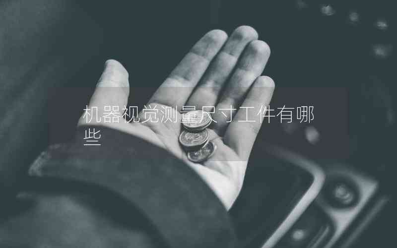 機(jī)器視覺(jué)測(cè)量尺寸工件有哪些