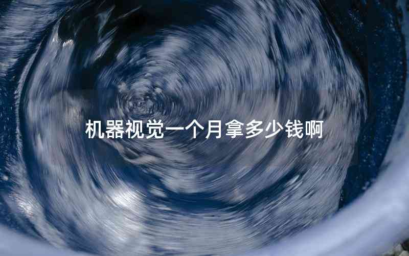 機(jī)器視覺一個月拿多少錢啊