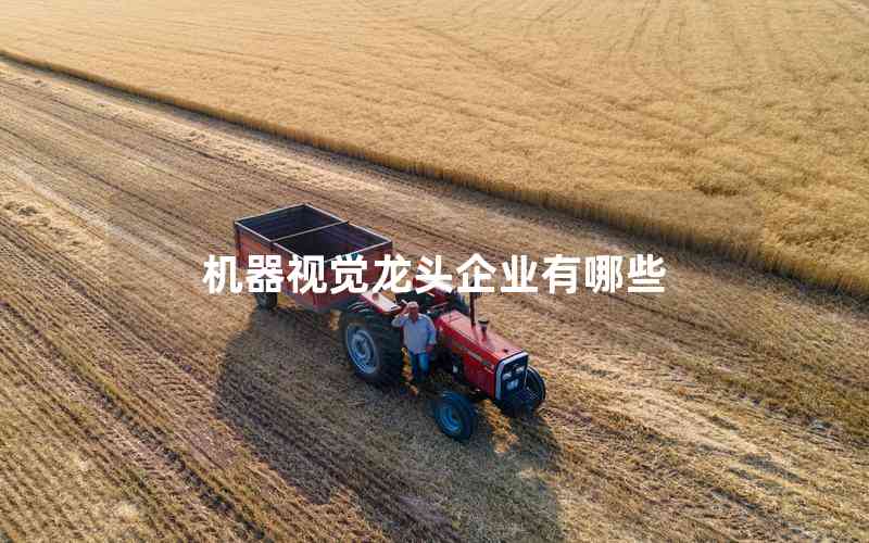 機器視覺龍頭企業(yè)有哪些