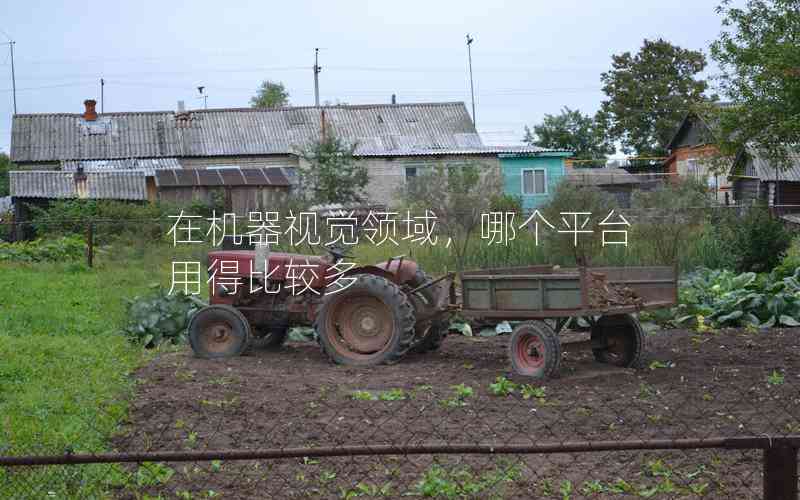 在機器視覺領(lǐng)域，哪個平臺用得比較多