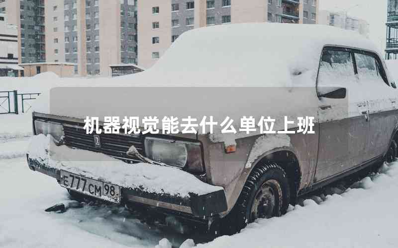 機(jī)器視覺能去什么單位上班