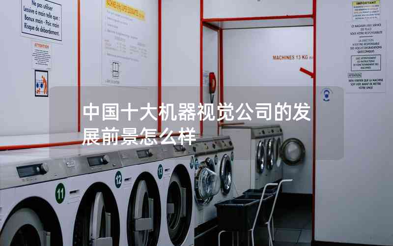 中國(guó)十大機(jī)器視覺公司的發(fā)展前景怎么樣