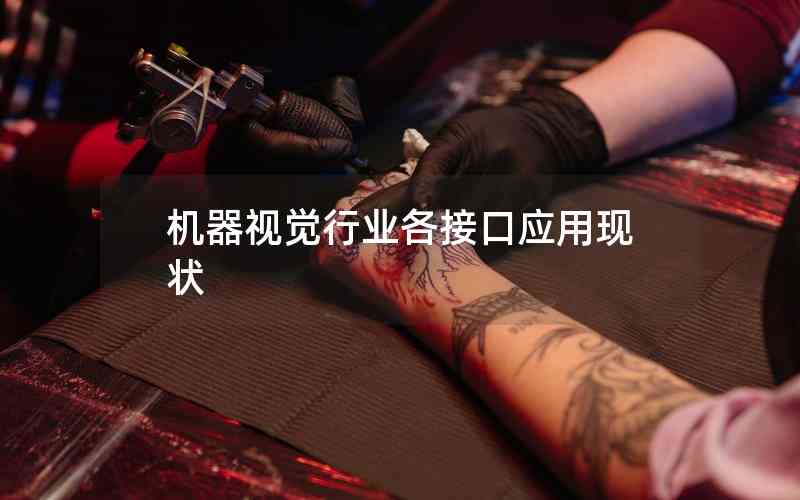 機(jī)器視覺行業(yè)各接口應(yīng)用現(xiàn)狀