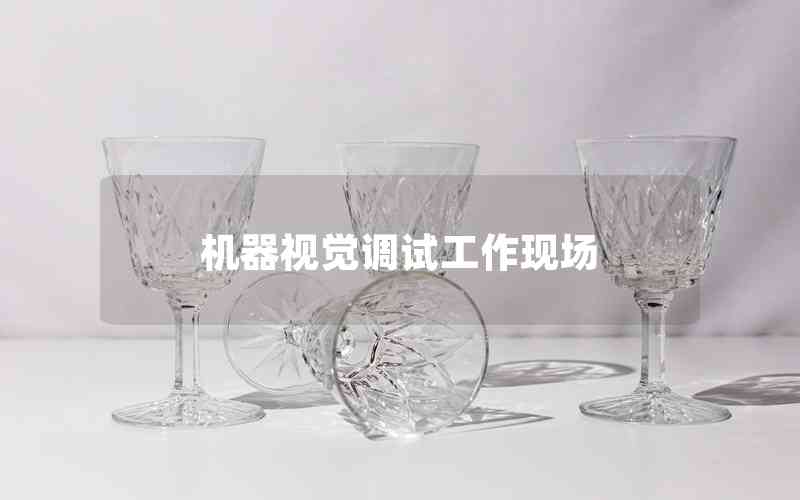機器視覺調(diào)試工作現(xiàn)場