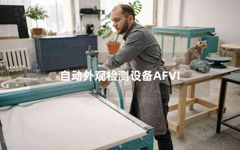 自動(dòng)外觀(guān)檢測(cè)設(shè)備AFVI