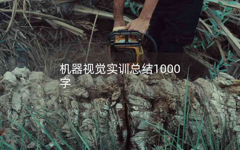 機器視覺實訓(xùn)總結(jié)1000字