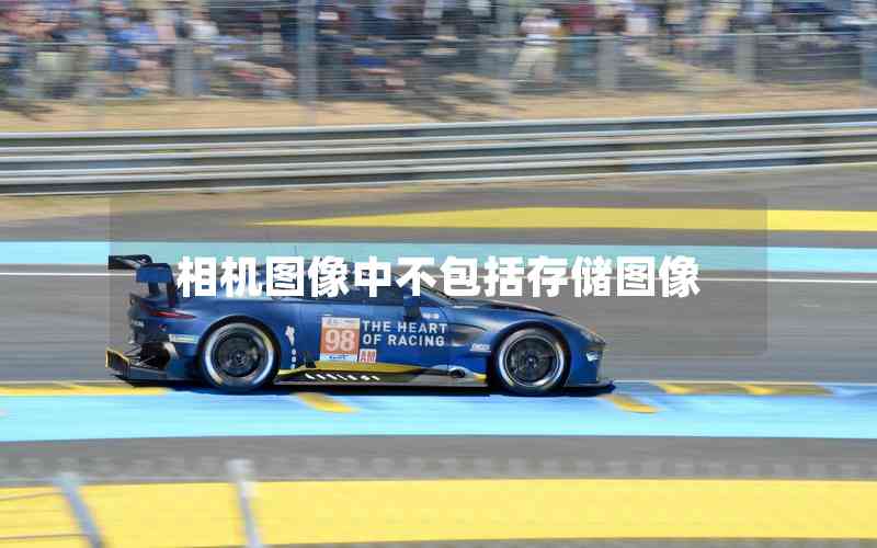 相機(jī)圖像中不包括存儲(chǔ)圖像