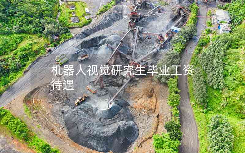 機(jī)器人視覺(jué)研究生畢業(yè)工資待遇