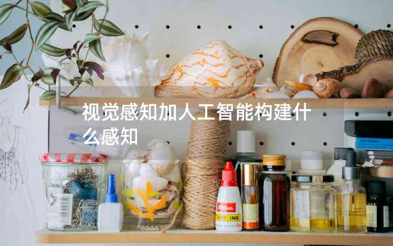 視覺感知加人工智能構(gòu)建什么感知