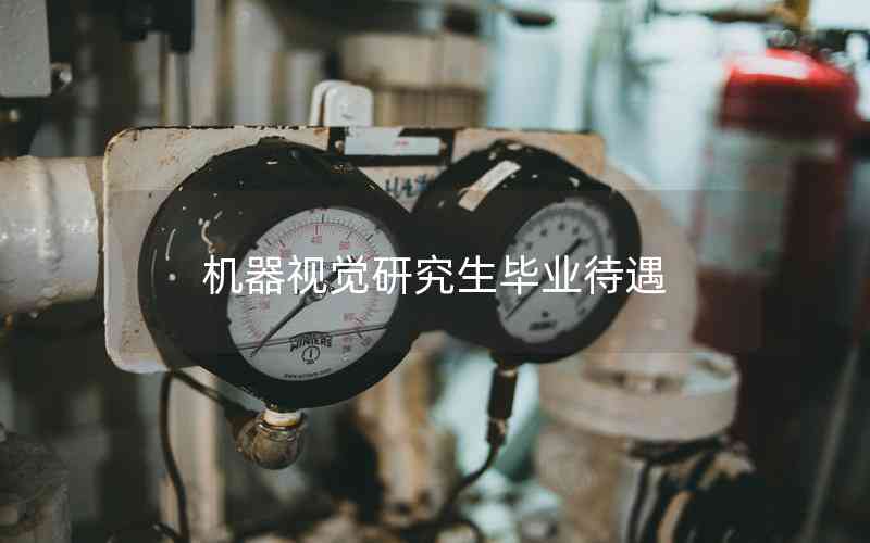 機器視覺研究生畢業(yè)待遇