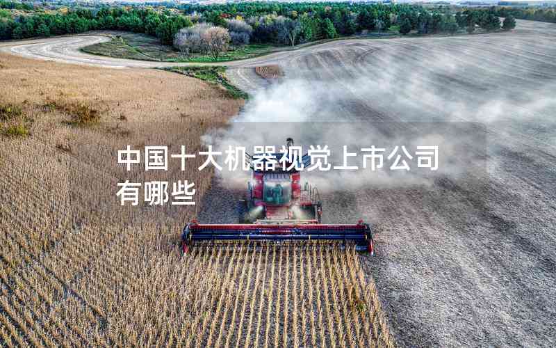 中國(guó)十大機(jī)器視覺上市公司有哪些