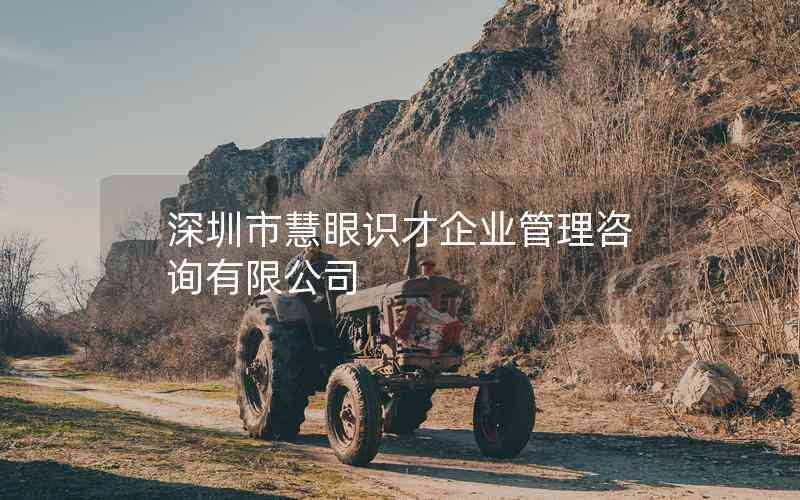 深圳市慧眼識才企業(yè)管理咨詢有限公司