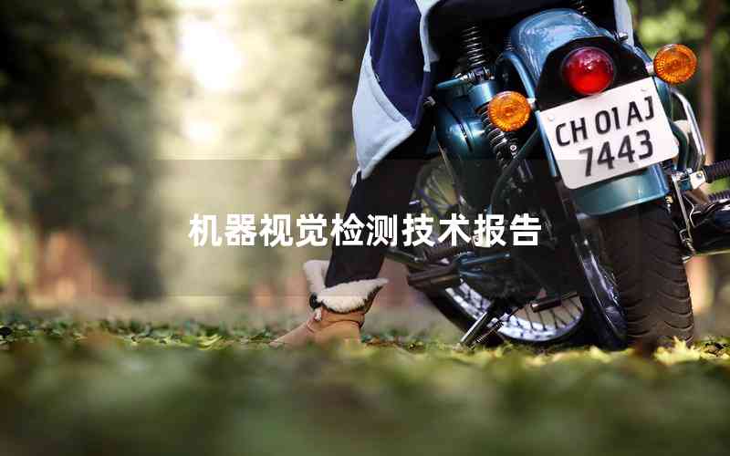 機器視覺檢測技術(shù)報告