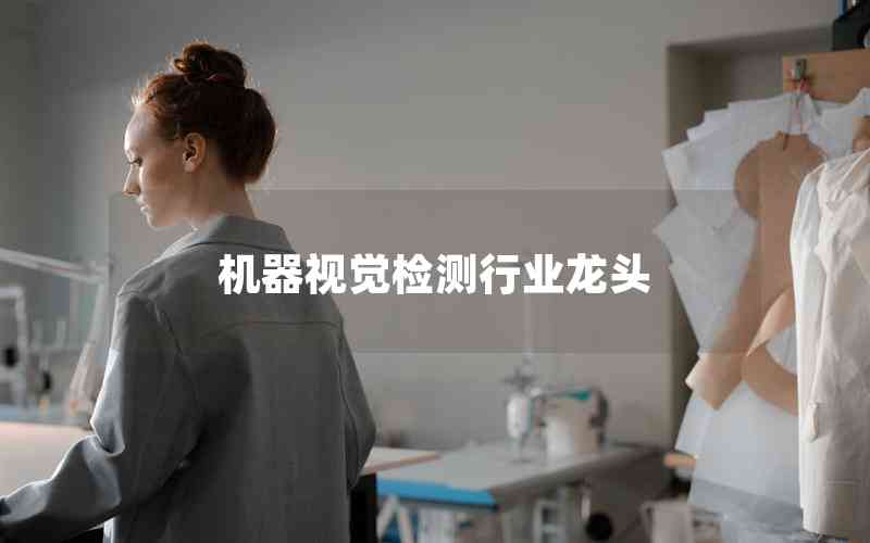 機(jī)器視覺檢測(cè)行業(yè)龍頭