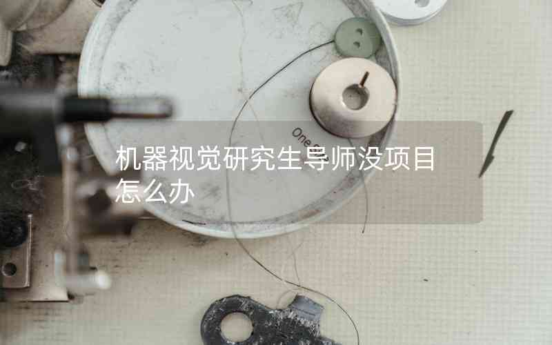機器視覺研究生導(dǎo)師沒項目怎么辦