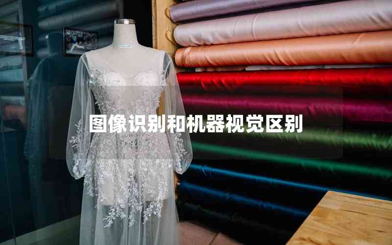 圖像識(shí)別和機(jī)器視覺(jué)區(qū)別