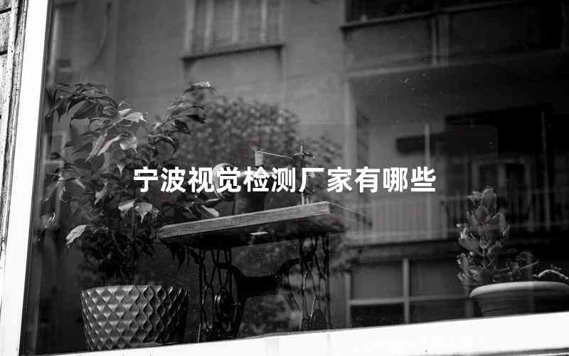 寧波視覺(jué)檢測(cè)廠家有哪些