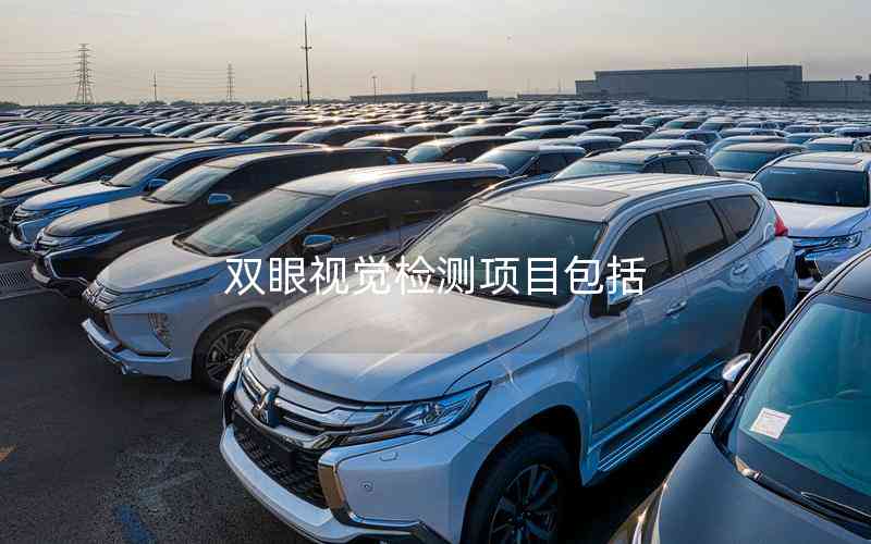 雙眼視覺檢測項目包括