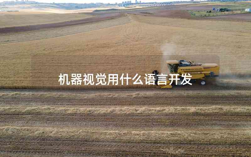 機(jī)器視覺(jué)用什么語(yǔ)言開(kāi)發(fā)